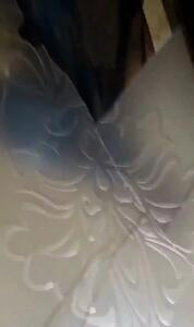 فیلم نجات ۴۴ گربه از خانه زن حیوان‌دوست قلابی