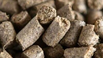 آزاد شدن صادرات تفاله چغندر و نیشکر