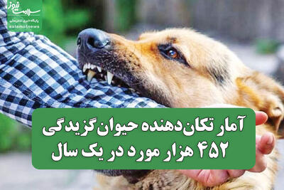 آمار تکان‌دهنده حیوان‌گزیدگی / ۴۵۲ هزار مورد در یک سال