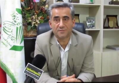 رکود نفس‌‌گیر در بازار کاغذ - تسنیم