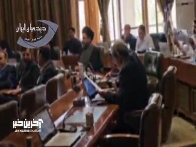 عضو شورای شهر تهران: موش ها در تهران گربه شده اند!