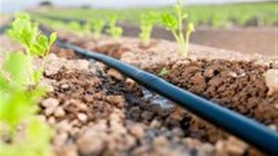 استفاده از فناوری‎های جدید آبیاری در مزارع خمین