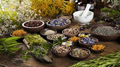 توسعه طب سنتی، راهکاری جهانی برای ارتقاء سلامت