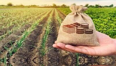 ۶ میلیارد دلار سرمایه‌گذاری خارجی در بخش کشاورزی انجام می‌شود