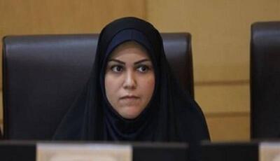 رشد خوداظهاری ملکی با اتصال بیمه و فراجا به سامانه املاک