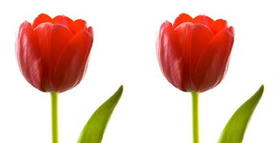 اصالت می تواند به فرسودگی روابط کمک کند