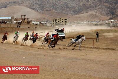 وجود ۱۳۰۰ رأس اسب و فعالیت ۲۴ باشگاه سوارکاری در لرستان/  نبود پیست استاندارد از مشکلات سوارکاری استان است 
