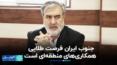 رئیس کمیسیون امنیت ملی مجلس: جنوب ایران فرصت طلایی همکاری‌های منطقه‌ای است