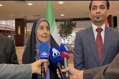 توسعه همکاری‌های حمل‌ونقلی ایران و عراق برای سفرهای اربعین