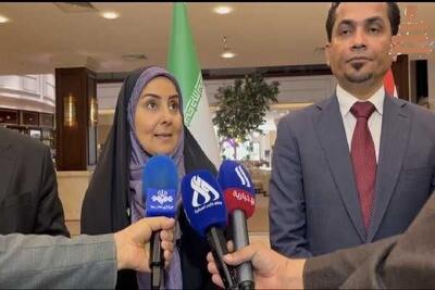 توسعه همکاری‌های حمل‌ونقلی ایران و عراق برای سفرهای اربعین - سایت خبری اقتصاد پویا