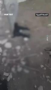 ببینید؛ شهرک‌نشینان اسرائیلی گوسفندان فلسطینی‌ها را کشتند