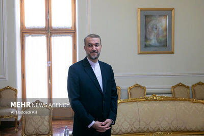همسر شهید امیرعبداللهیان: وزارت، امیرعبداللهیان را از فضای جهاد و مبارزه در راه حق جدا نکرد