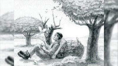 قدرت بینایی خود را با یافتن یک اسب که خودش را به شکلی تقریباً نامحسوس پنهان کرده است امتحان کنید!