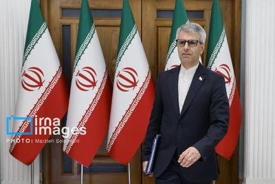 بقائی: دزفول نماد ایستادگی مردمانی است که تن به کوچ و تسلیم ندادند تا ایران بماند