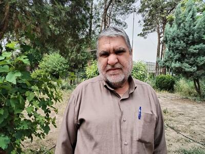 تولید گندم باید از سنتی به علمی تغییر مسیر دهد