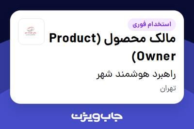 استخدام مالک محصول (Product Owner) در راهبرد هوشمند شهر