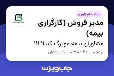 استخدام مدیر فروش (کارگزاری بیمه) در مشاوران بیمه مویرگ کد 1131