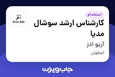 استخدام کارشناس ارشد سوشال مدیا در آریو ادز