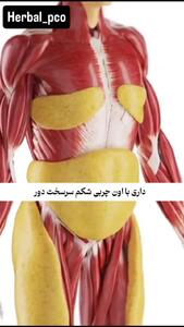 اگر این علامت ها را دارید کورتیزول و استرس بدن تان بالاست + فیلم