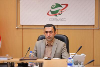 دلایل توقف و بازگشایی نمادهای معاملاتی «ایران‌خودرو و سایپا»