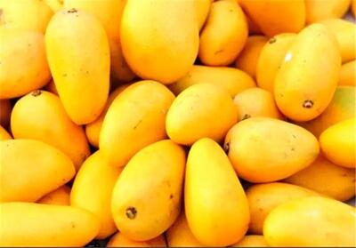واردات این میوه استوایی آزاد شد | قیمت هرکیلو چند؟