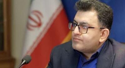 تأکید نماینده مجلس ایران در ژنو بر لزوم توسعه جهانی طب سنتی