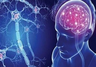 اصفهان بیش از 13 هزار بیمار مبتلا به ام‌اس دارد - تسنیم