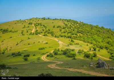 مبارزه با علف‌های هرز گندم در 45 هکتار از مزارع استان مرکزی - تسنیم