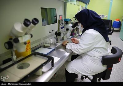 66 قلم دارو و 79 خدمت پاراکلینیکی ناباروری تحت پوشش بیمه - تسنیم