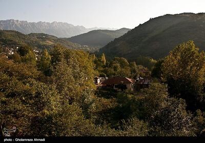 بازگشت 100 هکتار از جنگل‌های هیرکانی به منابع طبیعی - تسنیم