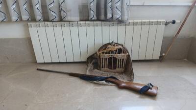 دستگیری شکارچی سابقه دار در سروآباد
