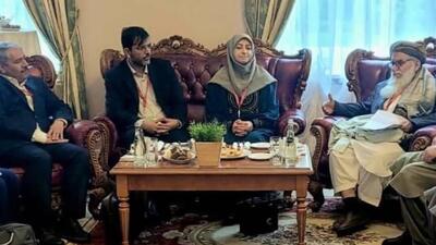 درخواست افغانستان از ایران برای همکاری در حوزه محیط زیست