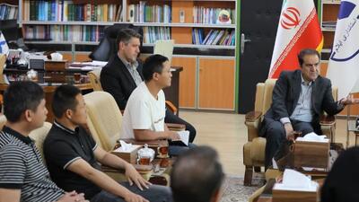 ماجرای منگنز، برق و یک خازن جنجالی بین شرکت برق ایلام و شرکت چینی