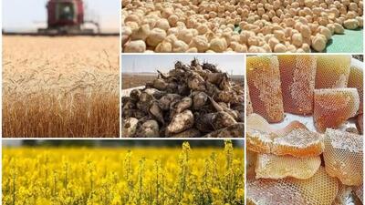 توسعه کشاورزی کرمانشاه با تکیه بر دانش و منابع آبی دنبال می‌شود