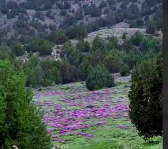 درگز زیبا منطقه میانکوه در خراسان