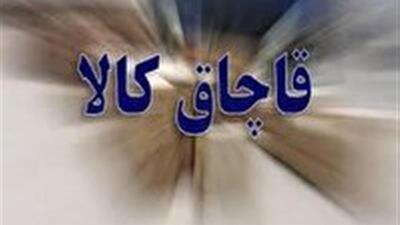 محکومیت بیش از نیم میلیارد تومانی قاچاقچی کالا در قاینات