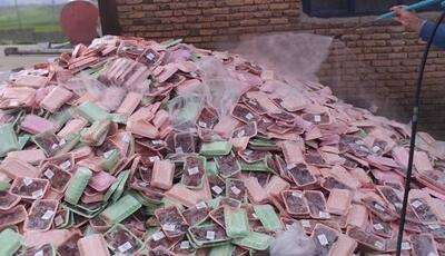 کشف و معدوم‌سازی بیش از ۱۵۰ کیلوگرم جگر فاسد مرغ در بهبهان