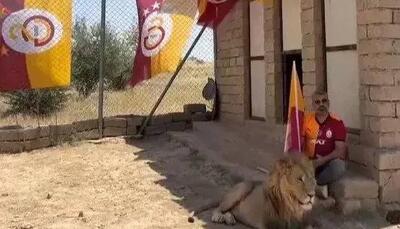 متفاوت‌ترین جشن قهرمانی با چند قلاده شیر واقعی!