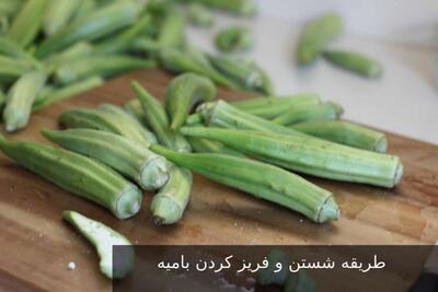 طریقه شستن و فریز کردن بامیه خورشتی و مدت زمان نگهداری بامیه در فریزر