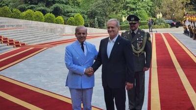 پزشکیان: مرزهای ایران و پاکستان باید عاری از فعالیت تروریست‌ها باشد/ شهباز شریف: ایران، خانه دوم ماست؛ از برنامه هسته‌ای ایران حمایت می‌کنیم