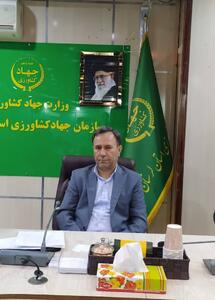 تثبیت بیش از ۴ هزار و ۹۱۷ هکتار اراضی غیرملی در لرستان