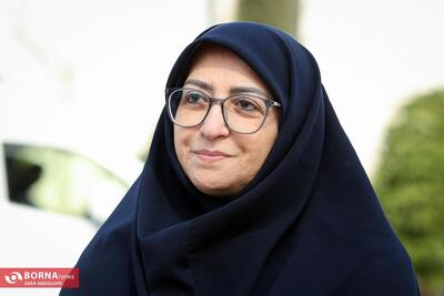 رئیس سازمان حفاظت از محیط زیست به تبریز می‌رود
