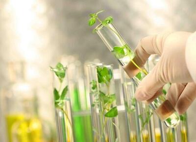 امنیت غذایی پایدار با حفظ تنوع زیستی و منابع ژنتیکی - اکونیوز