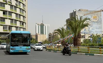 تهران با نخل دبی نمی‌شود/ اصرار شهرداری تهران به کاشت نخل در شهری که روزی چنارستان بود | اقتصاد24