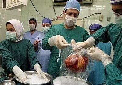 جراحی اهدای عضو از افراد دچار مرگ قلبی در این دانشگاه کشور انجام می شود