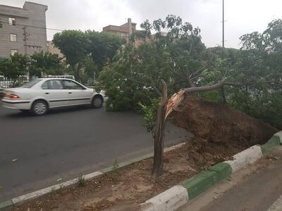 احتمال وقوع توفان‌های تندری در تهران و برخی مناطق مرکزی کشور