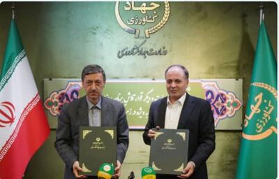 تفاهم‌ ستاد اجرایی فرمان امام با وزیر کشاورزی برای تولید برنج و گوشت