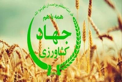 بخش کشاورزی تشنه سرمایه است