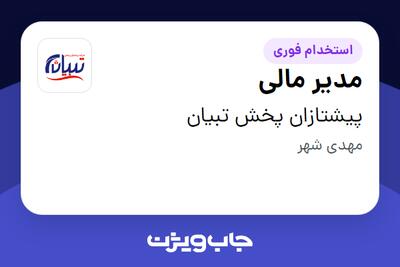 استخدام مدیر مالی در پیشتازان پخش تبیان