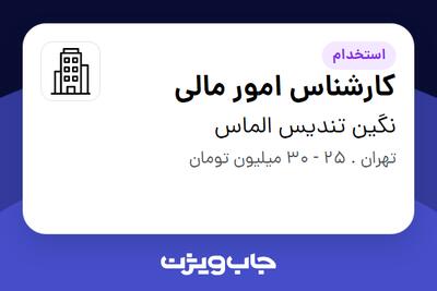 استخدام کارشناس امور مالی در نگین تندیس الماس